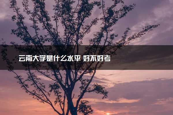 云南大学是什么水平 好不好考
