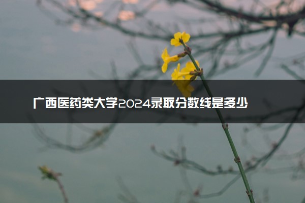 广西医药类大学2024录取分数线是多少 什么学校好