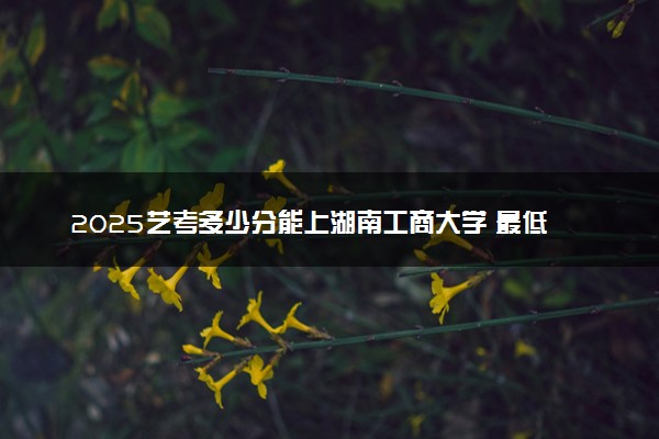 2025艺考多少分能上湖南工商大学 最低分数线是多少