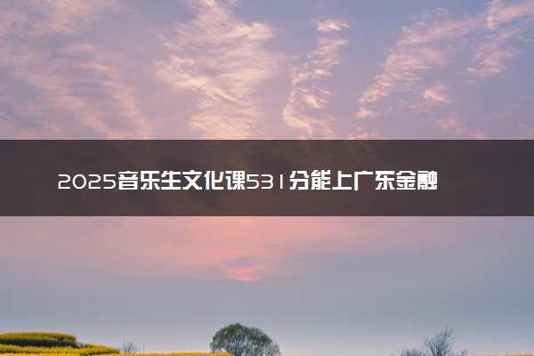 2025音乐生文化课531分能上广东金融学院吗