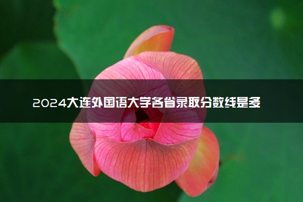 2024大连外国语大学各省录取分数线是多少 最低分及位次