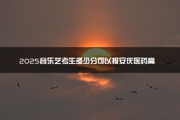2025音乐艺考生多少分可以报安庆医药高等专科学校