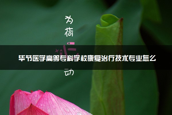 毕节医学高等专科学校康复治疗技术专业怎么样 录取分数线多少