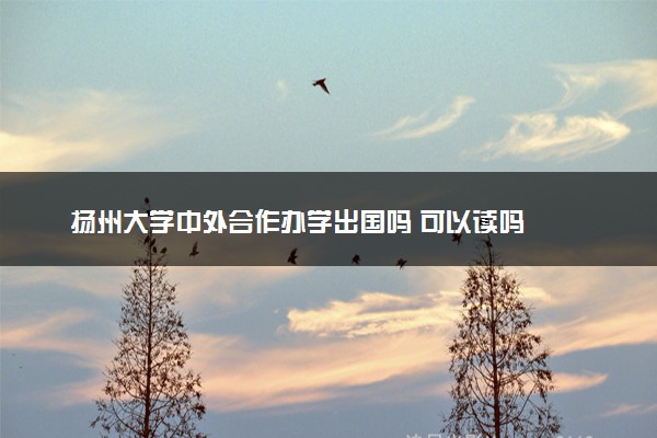 扬州大学中外合作办学出国吗 可以读吗