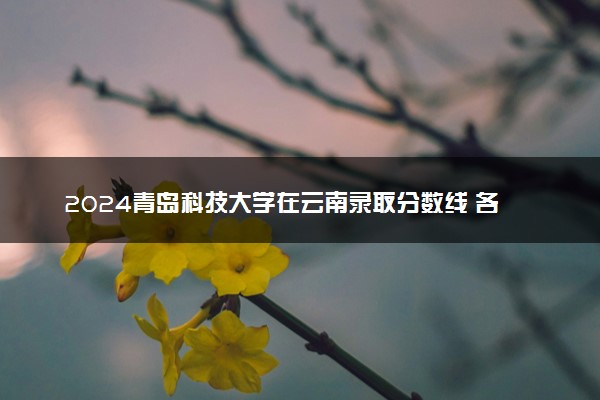 2024青岛科技大学在云南录取分数线 各专业分数及位次