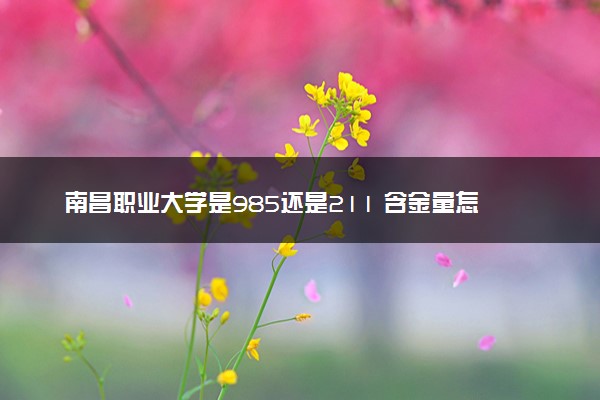 南昌职业大学是985还是211 含金量怎么样