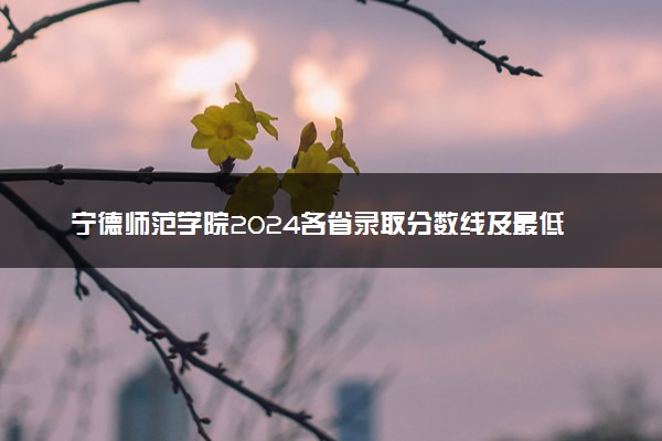 宁德师范学院2024各省录取分数线及最低位次是多少