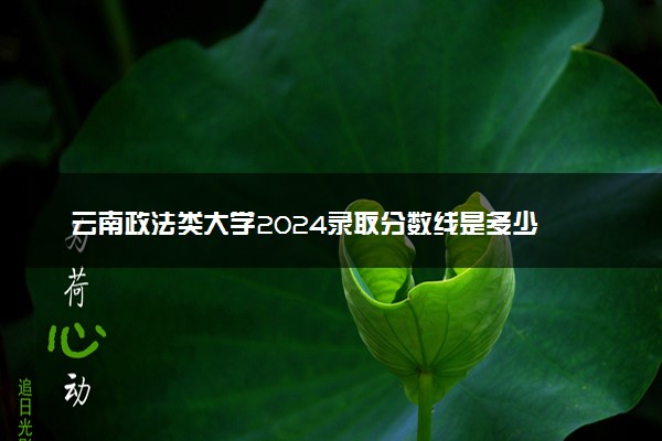 云南政法类大学2024录取分数线是多少 什么学校好
