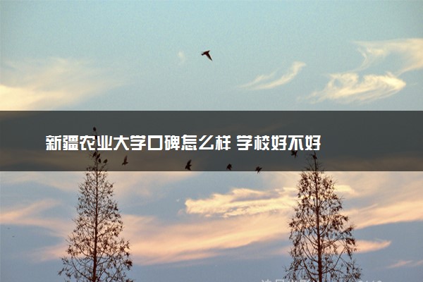 新疆农业大学口碑怎么样 学校好不好