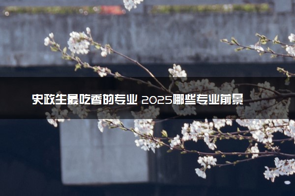 史政生最吃香的专业 2025哪些专业前景好