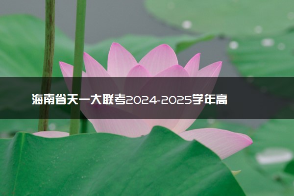 海南省天一大联考2024-2025学年高三学业水平诊断(三)试题及答案汇总