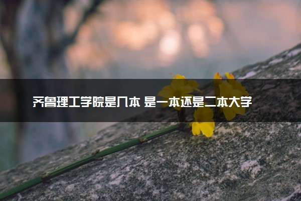 齐鲁理工学院是几本 是一本还是二本大学