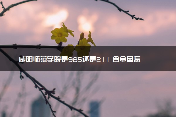 咸阳师范学院是985还是211 含金量怎么样