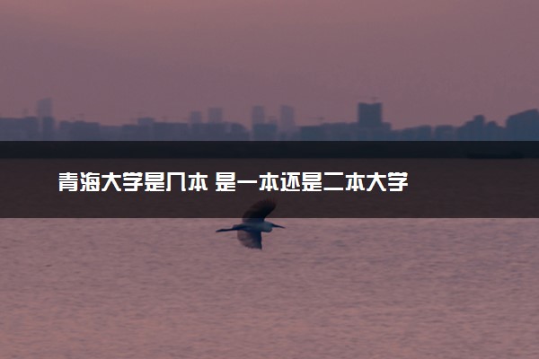 青海大学是几本 是一本还是二本大学
