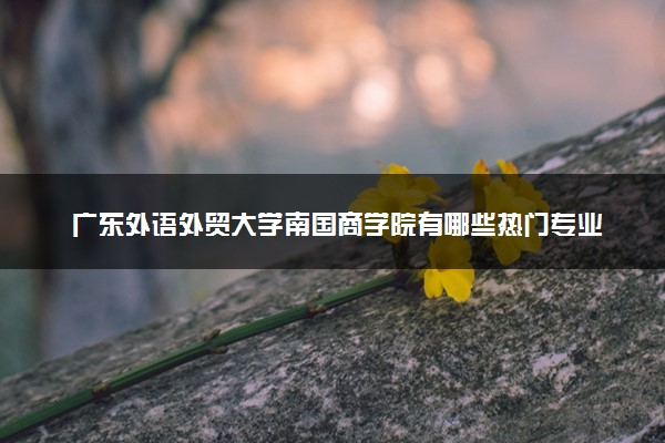 广东外语外贸大学南国商学院有哪些热门专业 推荐的王牌专业