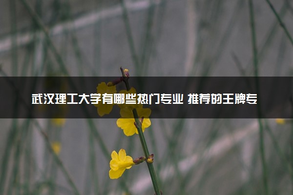 武汉理工大学有哪些热门专业 推荐的王牌专业