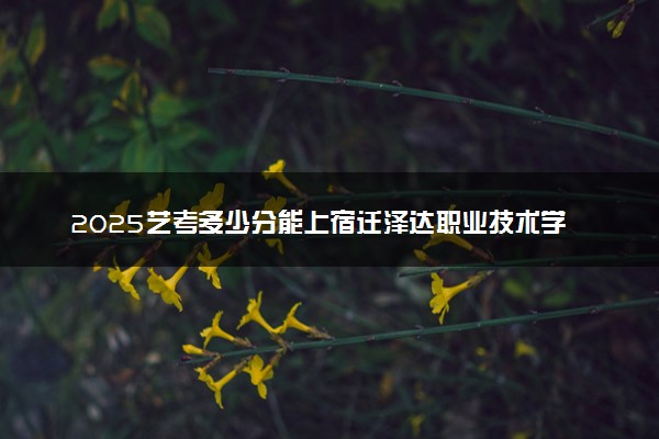 2025艺考多少分能上宿迁泽达职业技术学院 最低分数线是多少