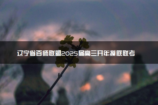辽宁省百师联盟2025届高三开年摸底联考试题及答案汇总