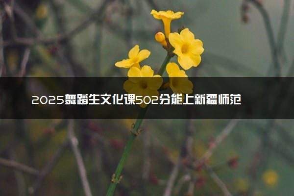 2025舞蹈生文化课502分能上新疆师范大学吗