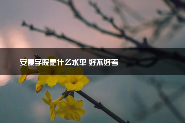 安康学院是什么水平 好不好考