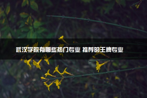 武汉学院有哪些热门专业 推荐的王牌专业