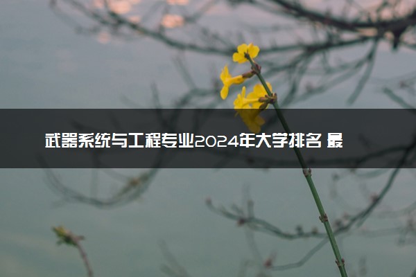 武器系统与工程专业2024年大学排名 最好的大学排行榜