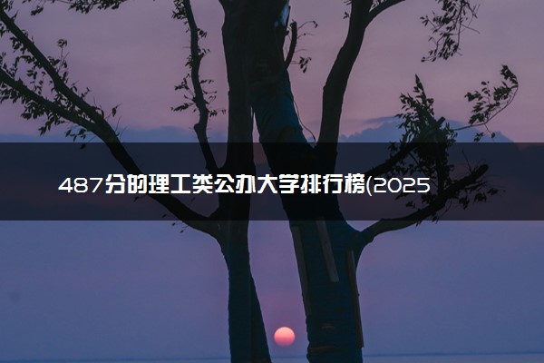 487分的理工类公办大学排行榜（2025考生参考)