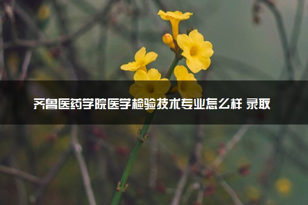齐鲁医药学院医学检验技术专业怎么样 录取分数线多少