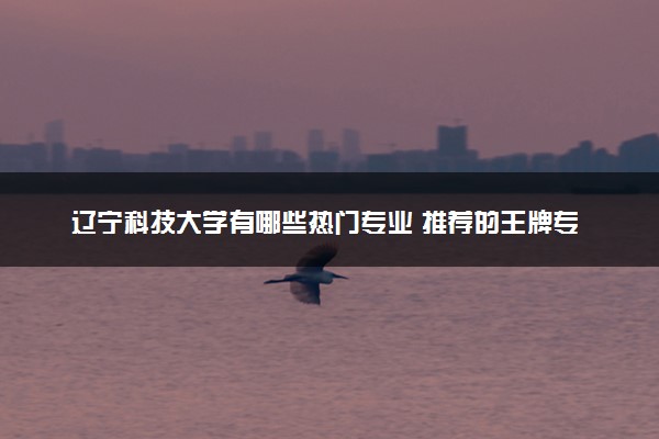 辽宁科技大学有哪些热门专业 推荐的王牌专业