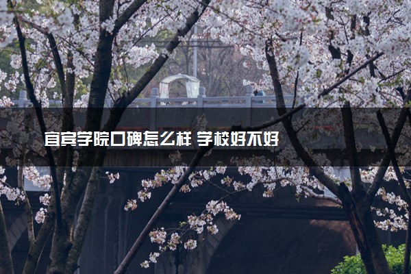宜宾学院口碑怎么样 学校好不好