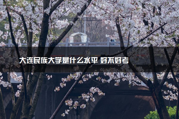 大连民族大学是什么水平 好不好考