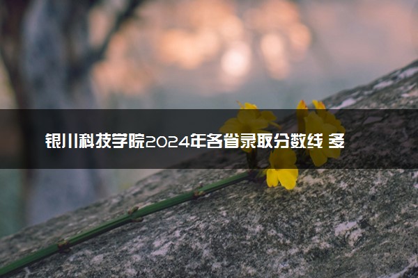 银川科技学院2024年各省录取分数线 多少分能考上