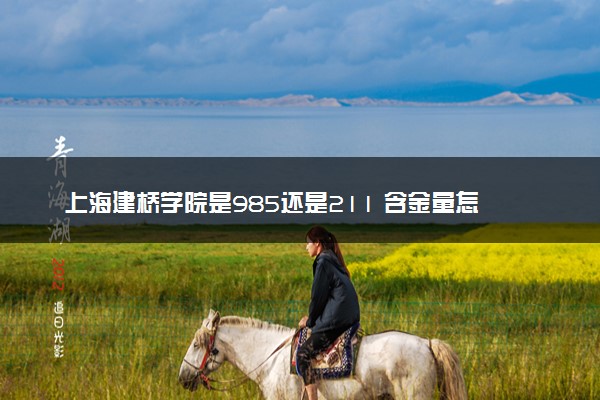 上海建桥学院是985还是211 含金量怎么样