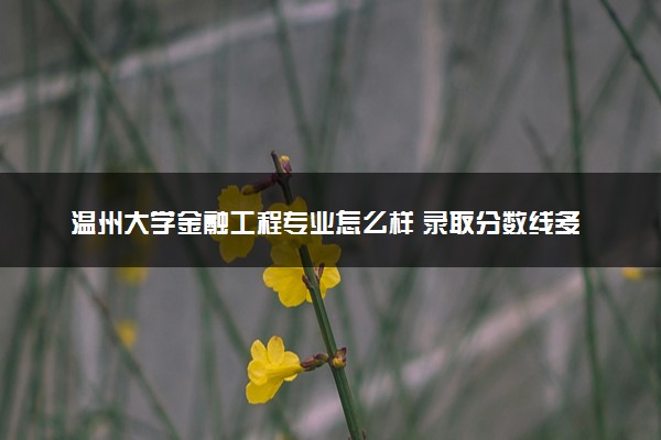 温州大学金融工程专业怎么样 录取分数线多少