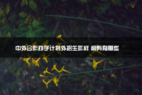 中外合作办学计划外招生咋样 利弊有哪些