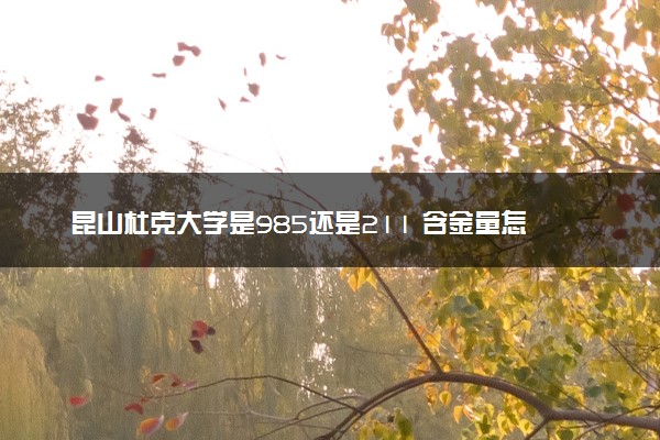 昆山杜克大学是985还是211 含金量怎么样