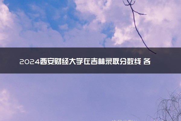 2024西安财经大学在吉林录取分数线 各专业分数及位次