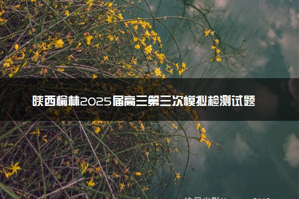 陕西榆林2025届高三第三次模拟检测试题及答案汇总