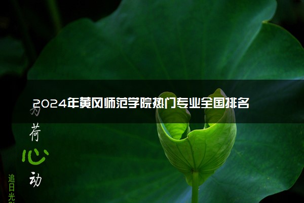 2024年黄冈师范学院热门专业全国排名 有哪些专业比较好