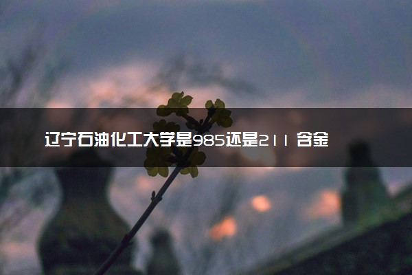 辽宁石油化工大学是985还是211 含金量怎么样