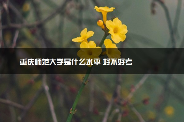 重庆师范大学是什么水平 好不好考