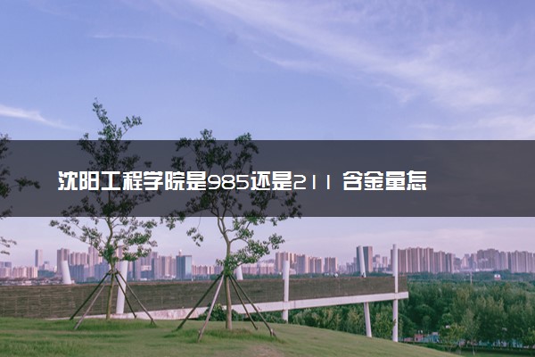 沈阳工程学院是985还是211 含金量怎么样