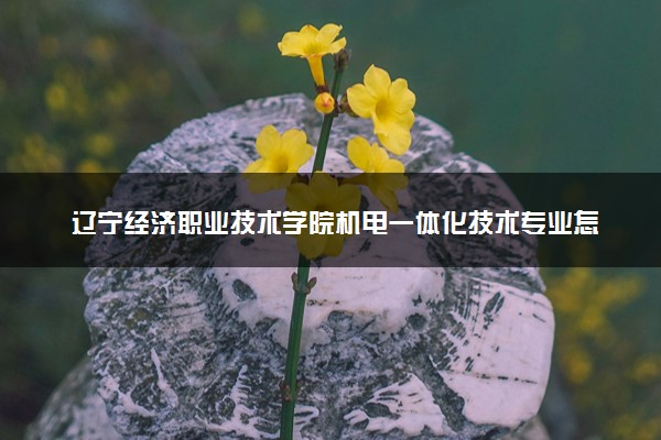 辽宁经济职业技术学院机电一体化技术专业怎么样 录取分数线多少
