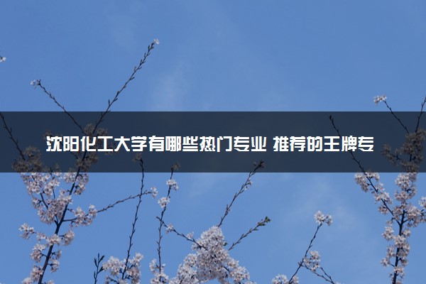 沈阳化工大学有哪些热门专业 推荐的王牌专业
