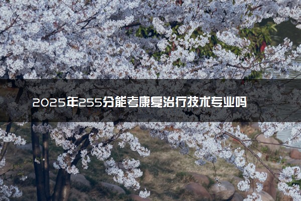 2025年255分能考康复治疗技术专业吗 255分康复治疗技术专业大学推荐