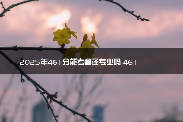 2025年461分能考翻译专业吗 461分翻译专业大学推荐