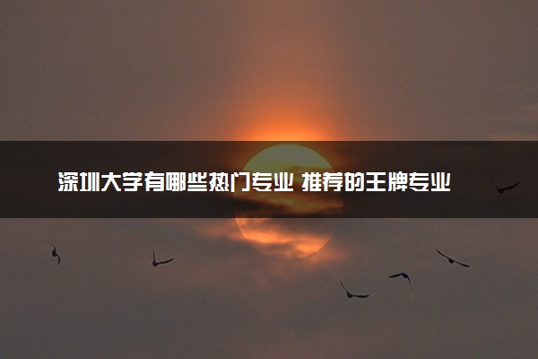 深圳大学有哪些热门专业 推荐的王牌专业