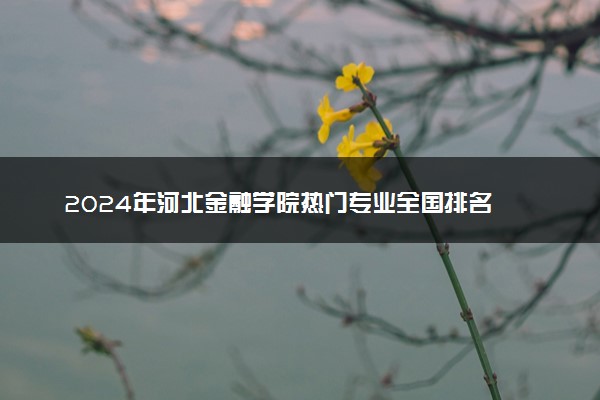 2024年河北金融学院热门专业全国排名 有哪些专业比较好