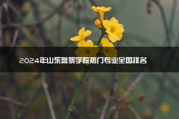 2024年山东警察学院热门专业全国排名 有哪些专业比较好