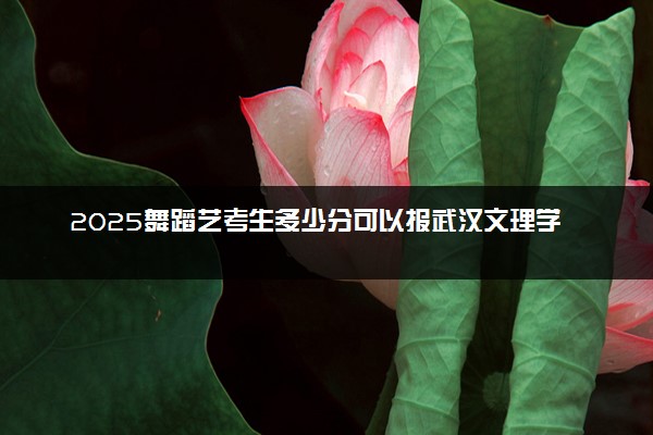 2025舞蹈艺考生多少分可以报武汉文理学院